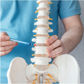 A Closer Look at Types of Spine Surgery 